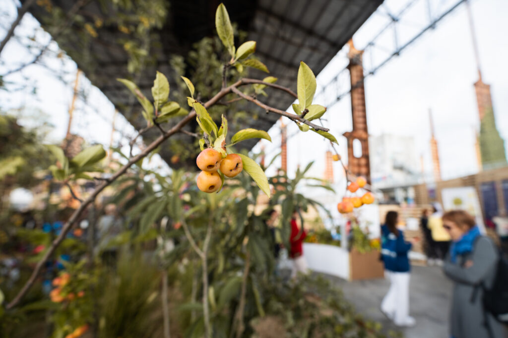 salone del gusto terra madre