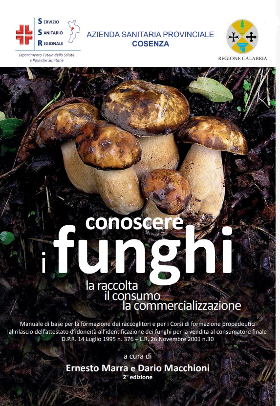 meeting funghi