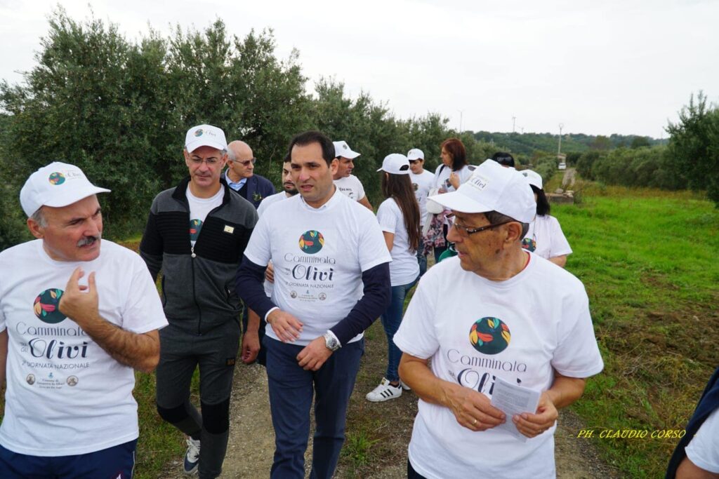 camminata tra gli olivi