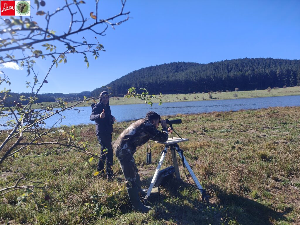 Eurobirdwatch sila