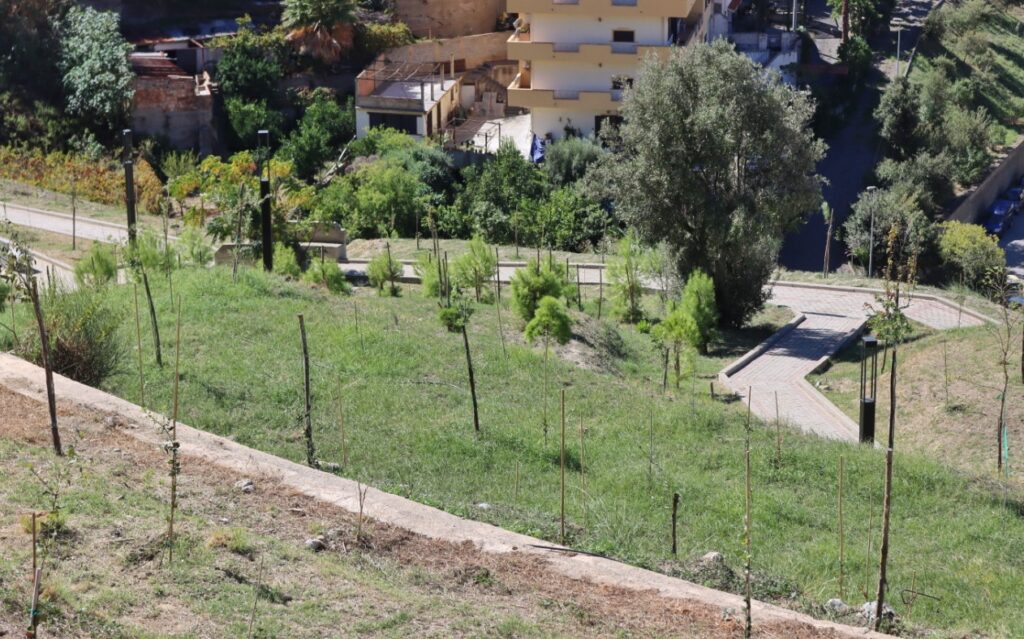 Inaugurazione Bosco Urbano dipartimento Agraria Università Mediterranea Reggio Calabria