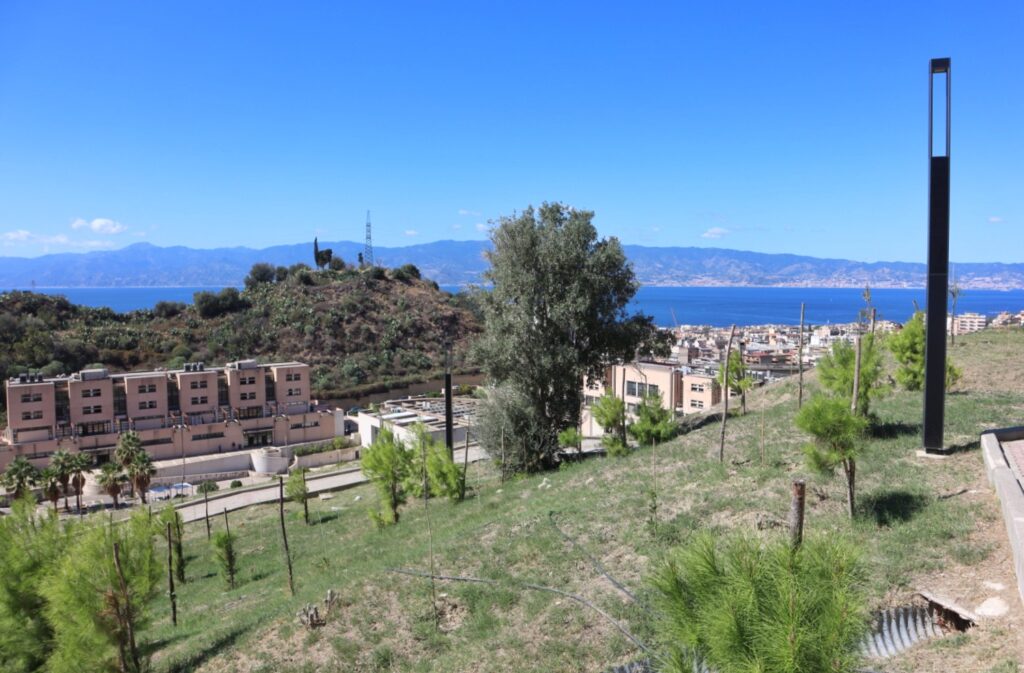 Inaugurazione Bosco Urbano dipartimento Agraria Università Mediterranea Reggio Calabria