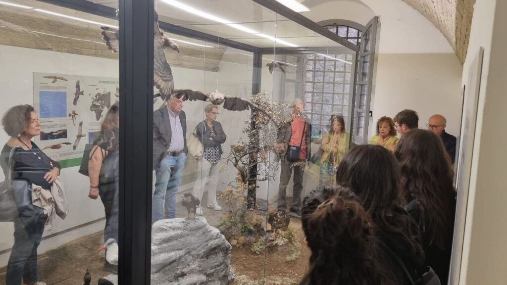 Inaugurazione Museo Faunistico Diorama Forte Poggio Pignatelli