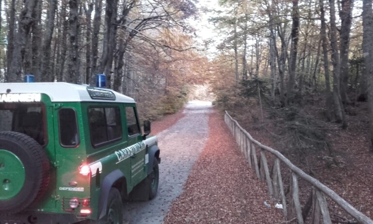 carabinieri parco nazionale d'aspromonte