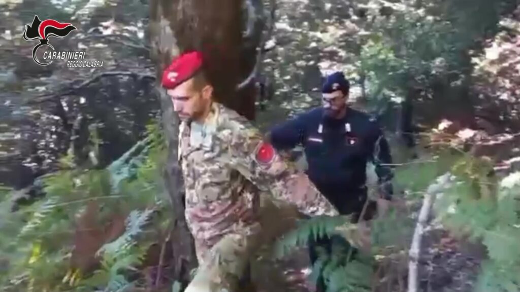 carabinieri reggio calabria droga