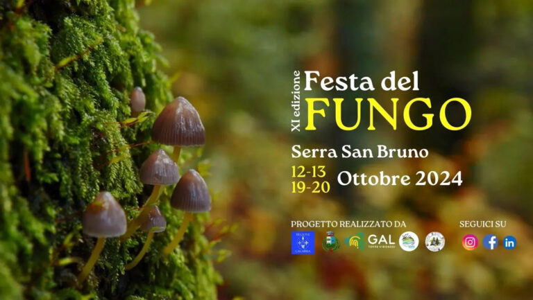 festa-del-fungo-serra-san-bruno