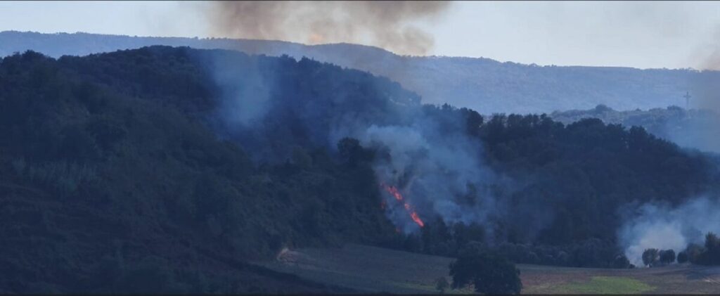 incendio tomarchio