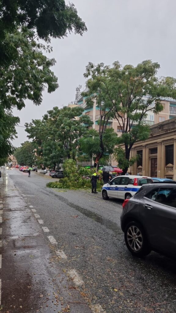 maltempo reggio calabria