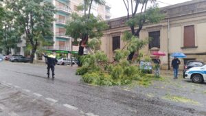 maltempo reggio calabria