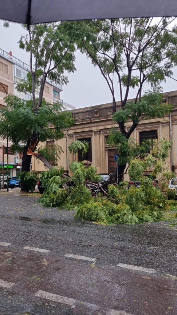 maltempo reggio calabria