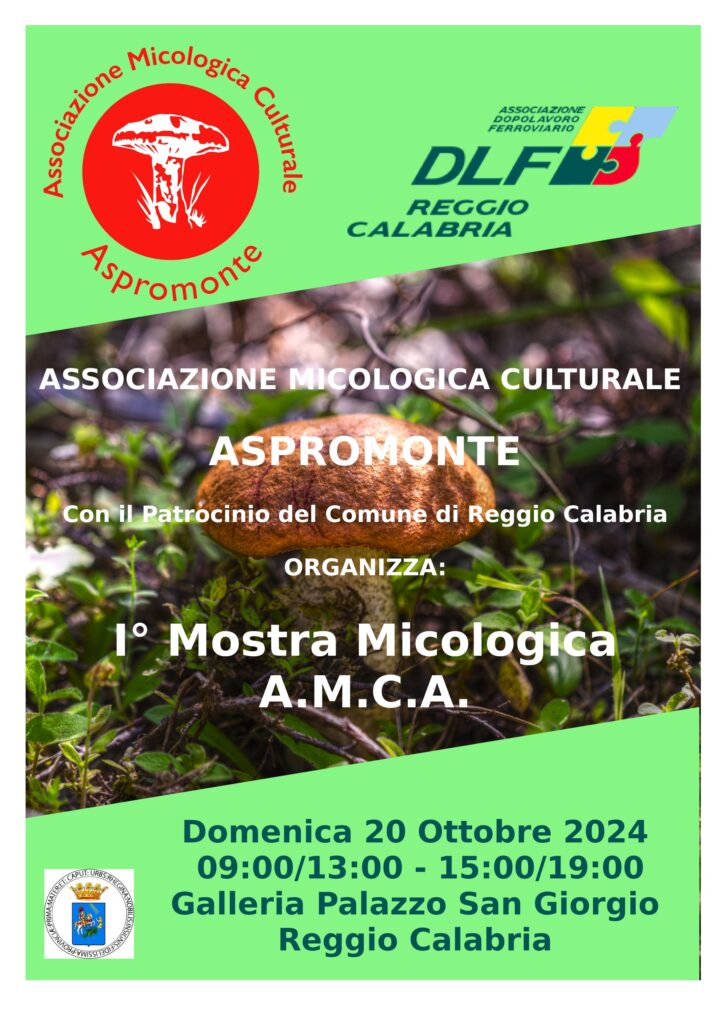 mostra micologica