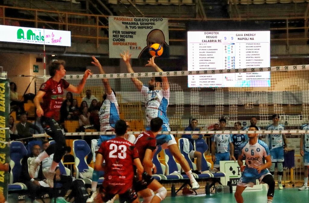 Domotek Volley