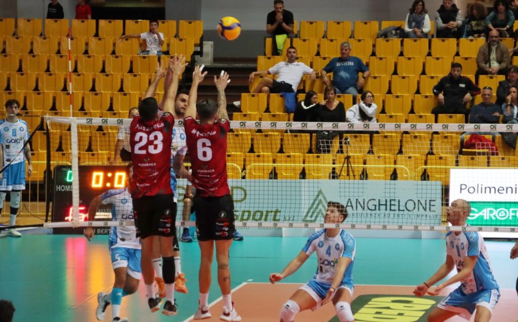 Domotek Volley