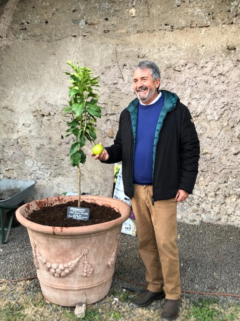 Il Bergamotto arriva a Reggio Calabria