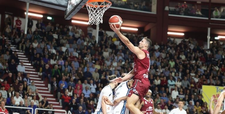 John Petrucelli Trapani Shark