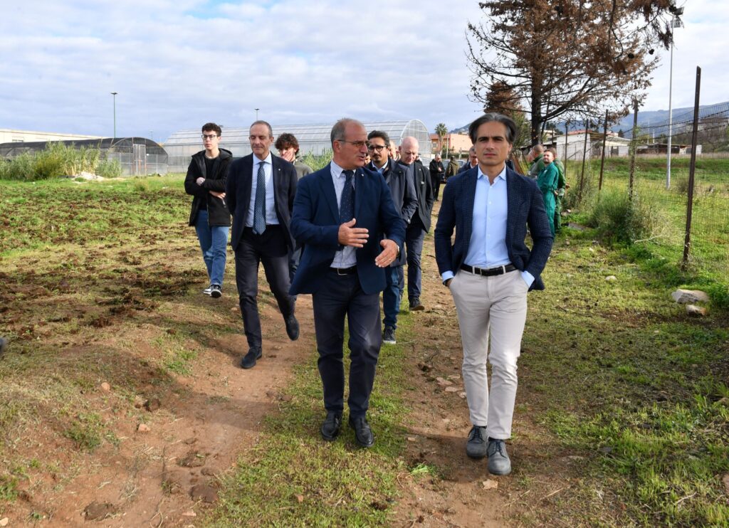 azienda agraria mediterranea comune