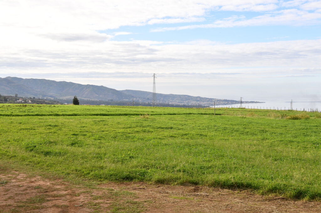 azienda agraria mediterranea comune