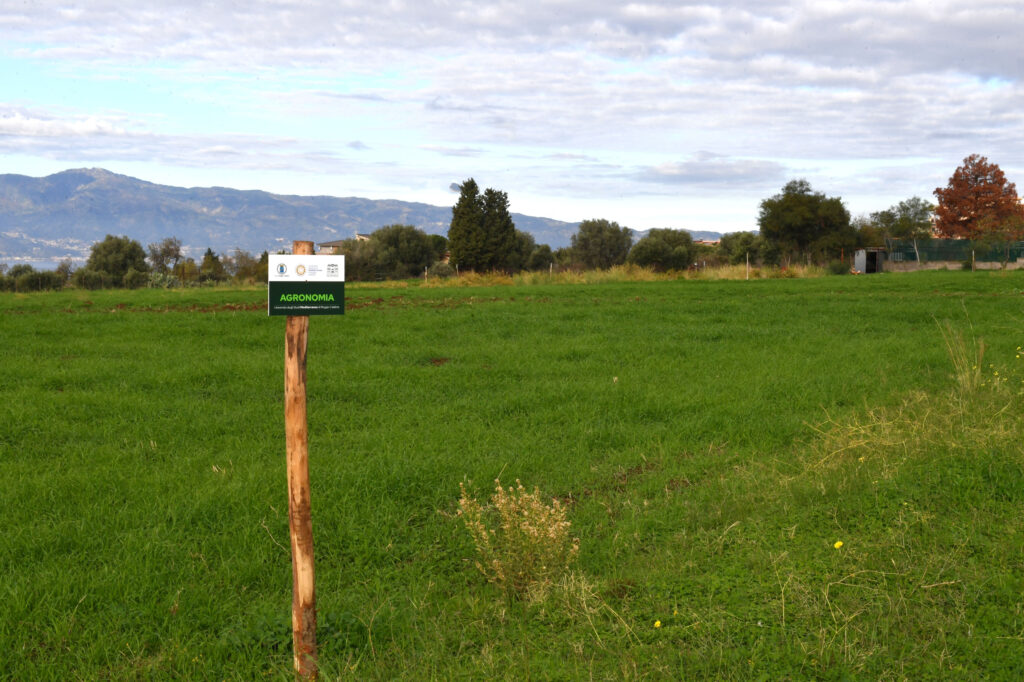 azienda agraria mediterranea comune