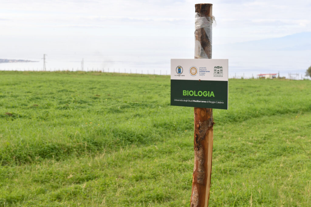 azienda agraria mediterranea comune