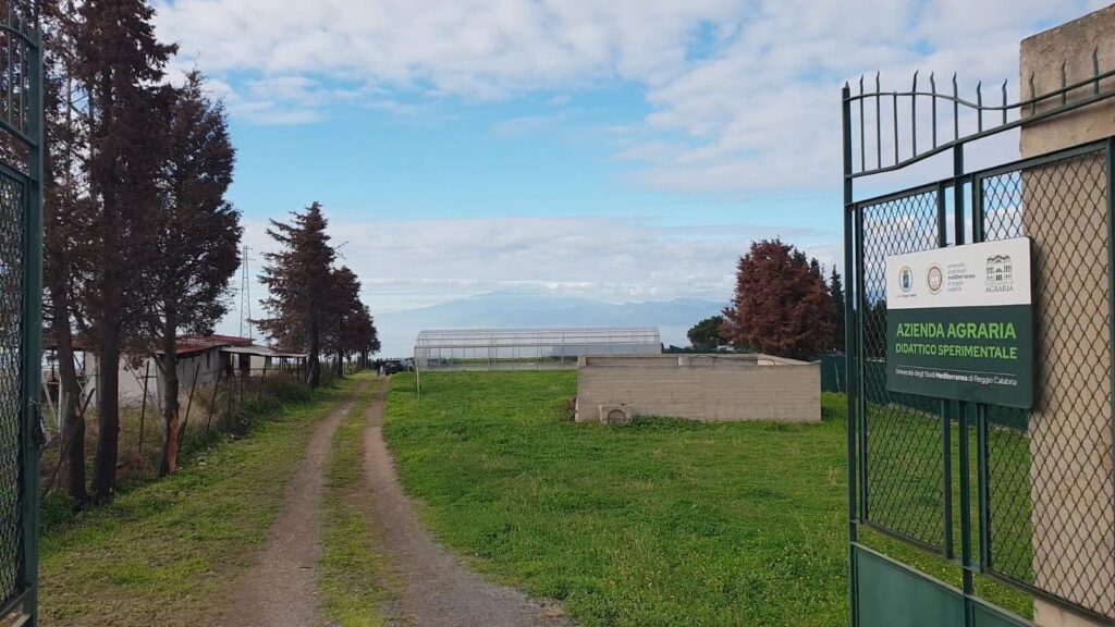 azienda agraria mediterranea comune