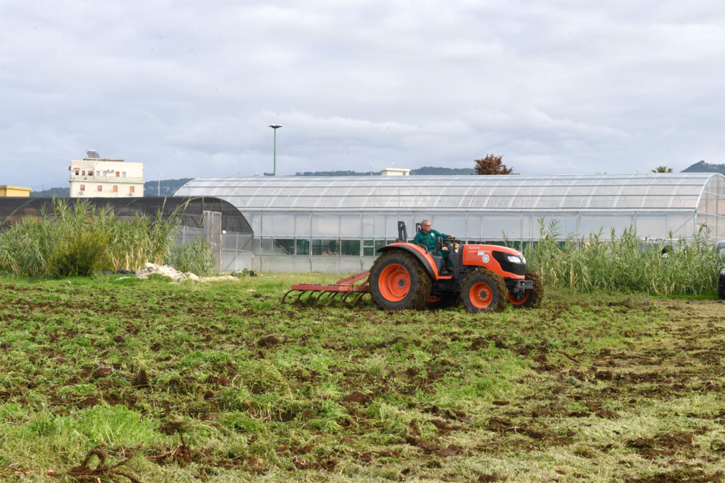 azienda agraria mediterranea comune