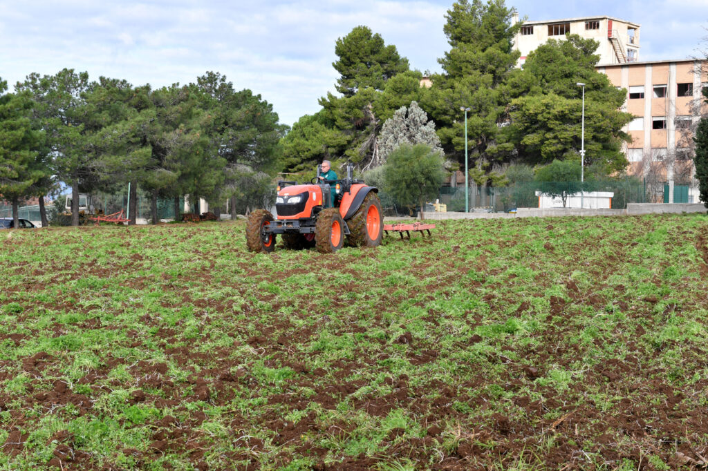 azienda agraria mediterranea comune