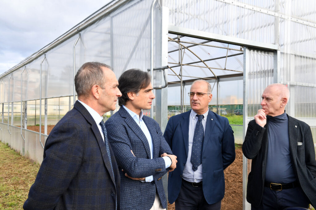 azienda agraria mediterranea comune