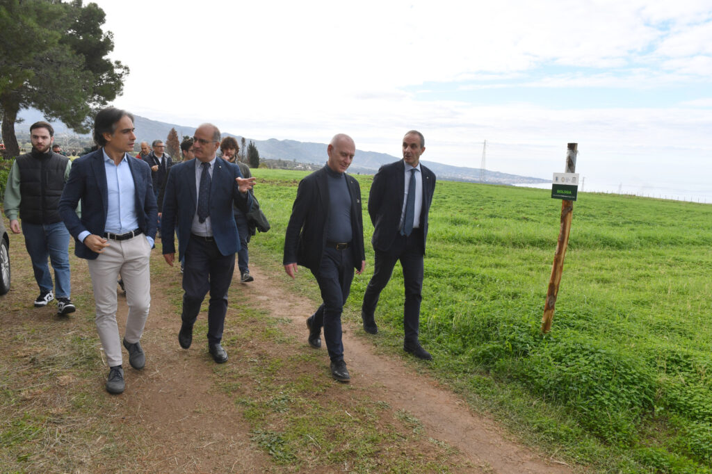 azienda agraria mediterranea comune