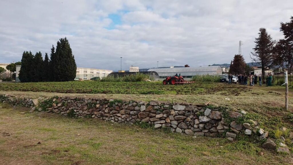 azienda agraria mediterranea comune