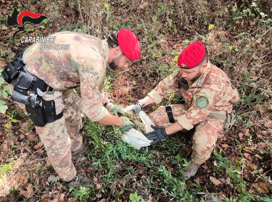 carabinieri reggio calabria droga