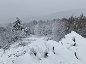 neve aspromonte 30 novembre 2024