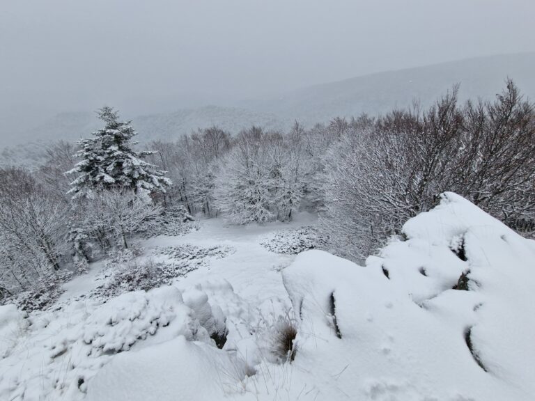 neve aspromonte 30 novembre 2024