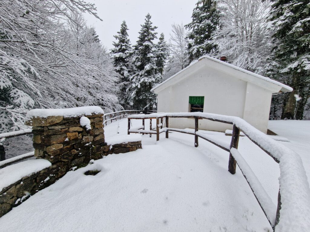 neve aspromonte 30 novembre 2024