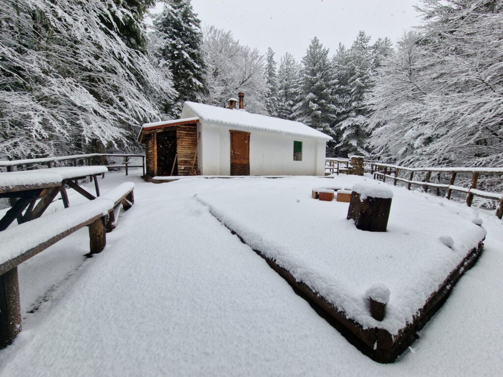 neve aspromonte 30 novembre 2024