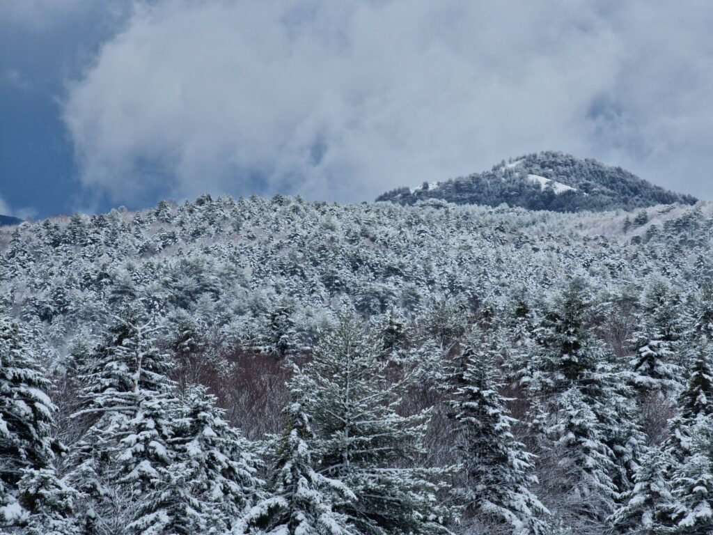 neve aspromonte 30 novembre 2024