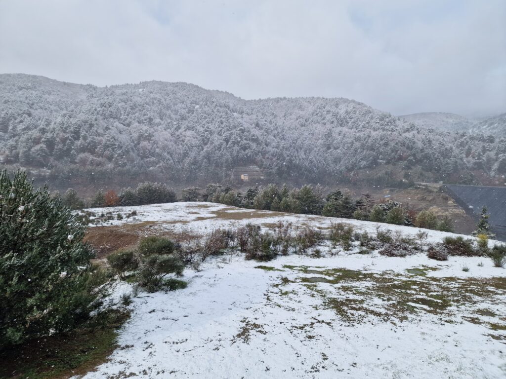 neve aspromonte 30 novembre 2024