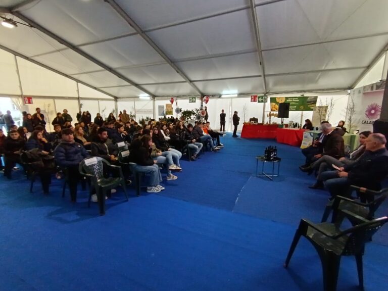 Fiera Agricoltura Rizziconi