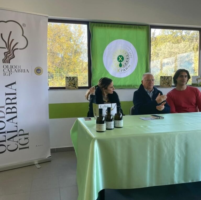 I giorni dell'olio - Evo Experience a Crucoli