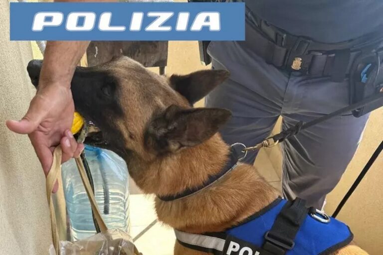 blitz-polizia-cane-droga