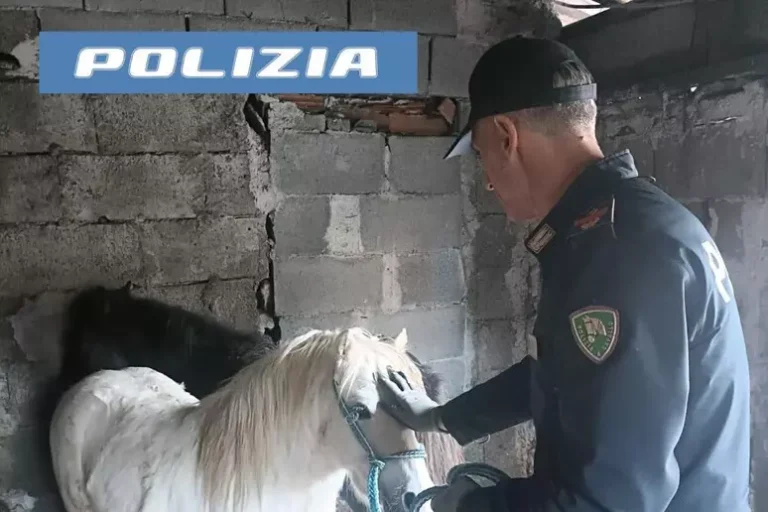 pony catania polizia