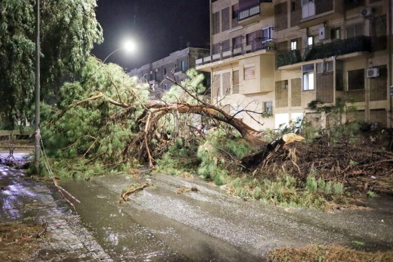 maltempo reggio 17 gennaio